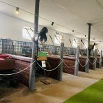 Historischer-Pferdestall-Sierakow-Kutschenaustellung