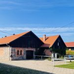 Trakehnergestuet-Rosnowo