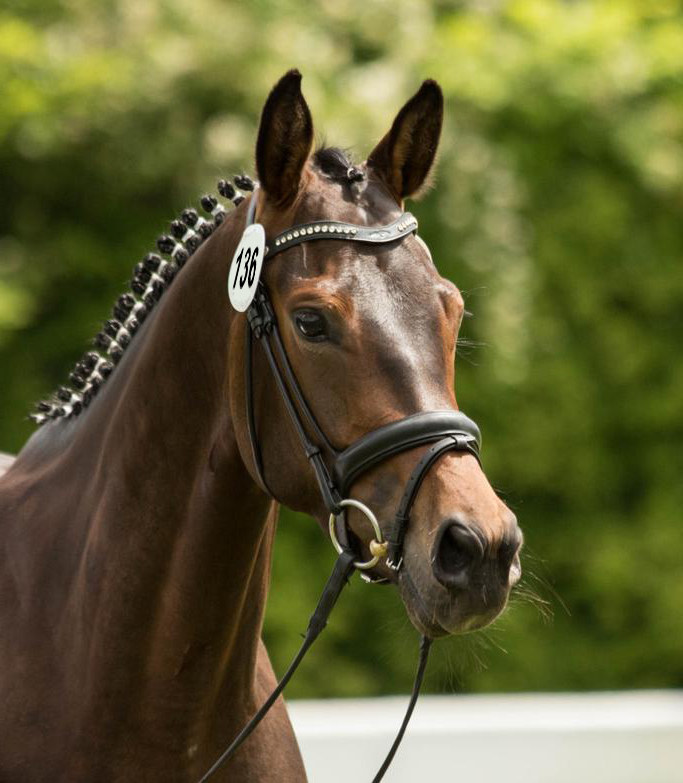 Nachtsonne-Sieberthof