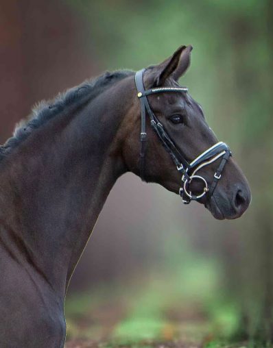 INSCRIPTION-Sieberthof