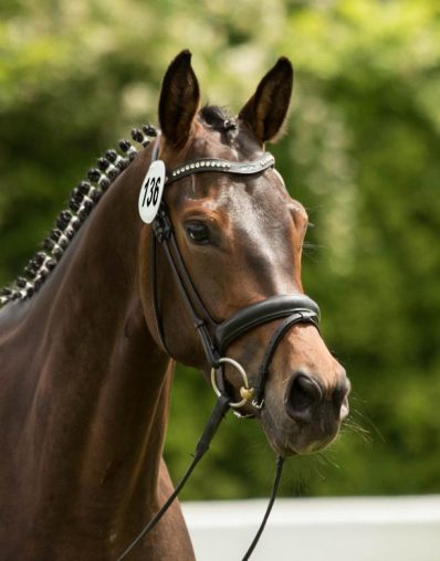 Nachtsonne-Sieberthof